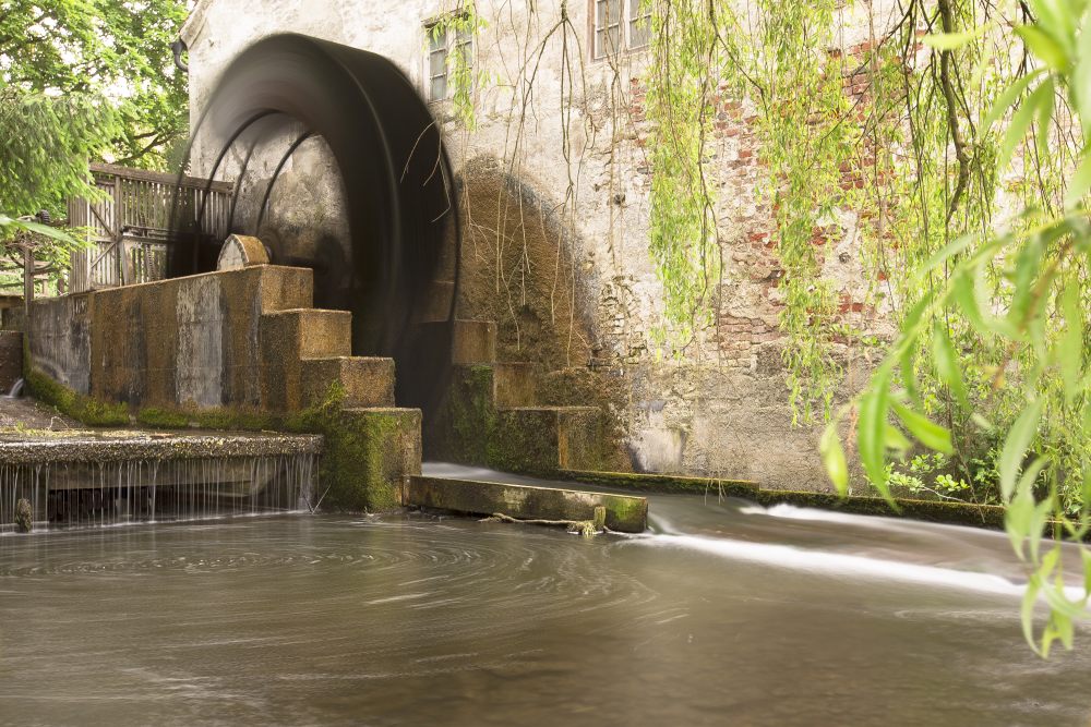 11. Platz Anton Kienle